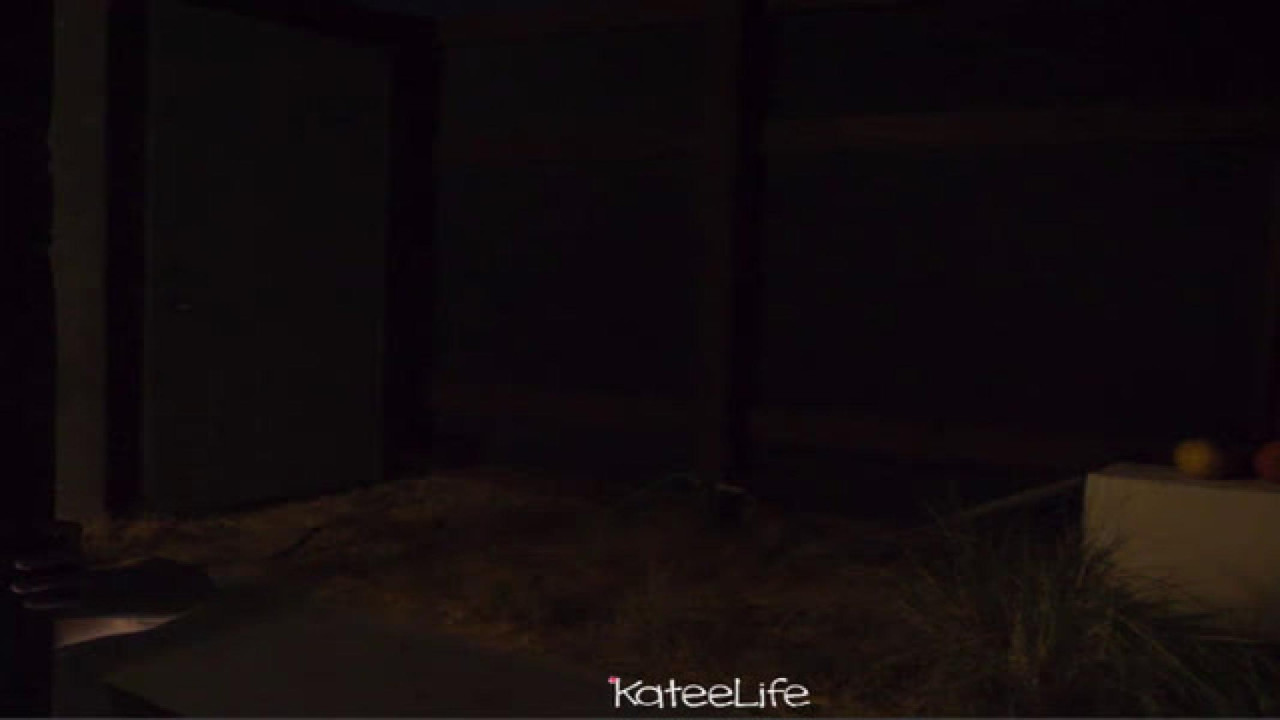KATEELIFE [2018-10-08 02:05:25]